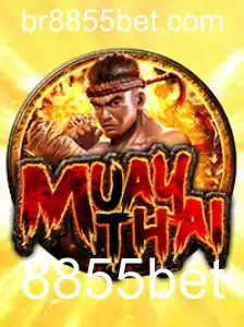 MuayThai: Conheça o Jogo e Suas Regras Através do 8855bet